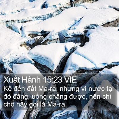 Xuất Hành 15:23 VIE Bible Verse Image