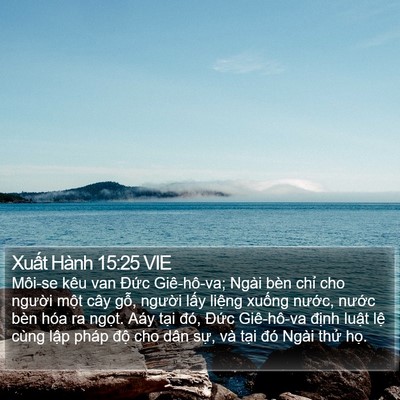 Xuất Hành 15:25 VIE Bible Verse Image