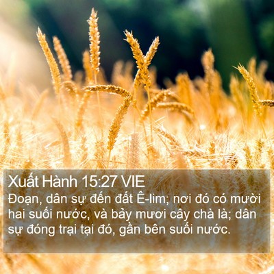 Xuất Hành 15:27 VIE Bible Verse Image