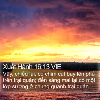 Xuất Hành 16:13 VIE Bible Verse Image