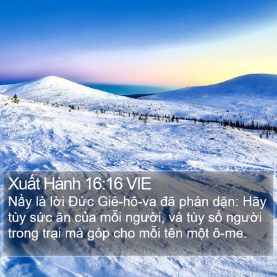 Xuất Hành 16:16 VIE Bible Verse Image