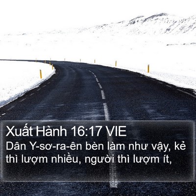Xuất Hành 16:17 VIE Bible Verse Image