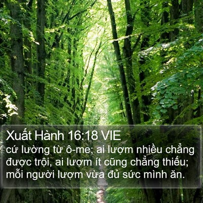 Xuất Hành 16:18 VIE Bible Verse Image