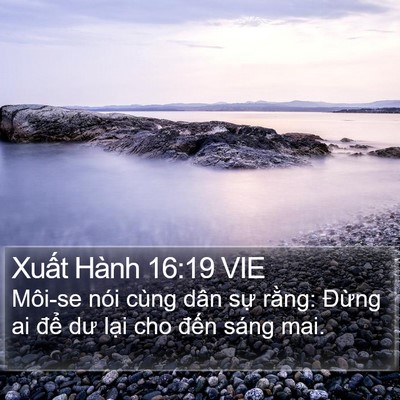 Xuất Hành 16:19 VIE Bible Verse Image