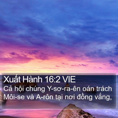 Xuất Hành 16:2 VIE Bible Verse Image