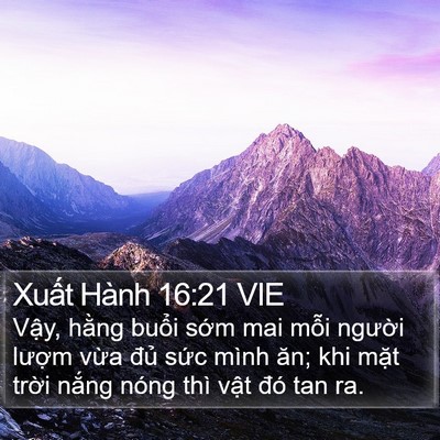 Xuất Hành 16:21 VIE Bible Verse Image