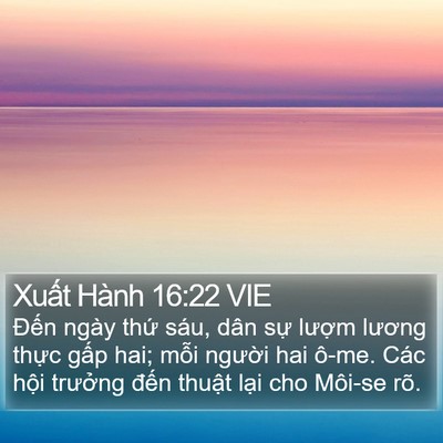 Xuất Hành 16:22 VIE Bible Verse Image
