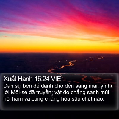 Xuất Hành 16:24 VIE Bible Verse Image