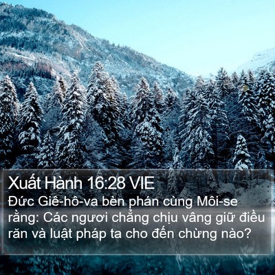 Xuất Hành 16:28 VIE Bible Verse Image