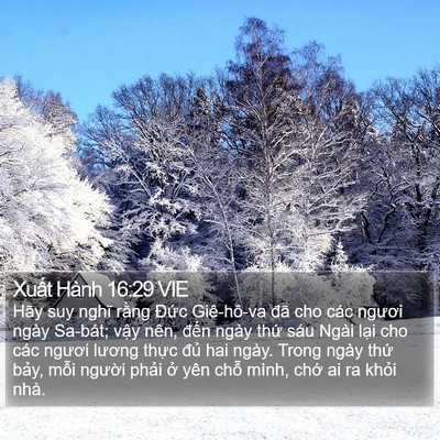 Xuất Hành 16:29 VIE Bible Verse Image