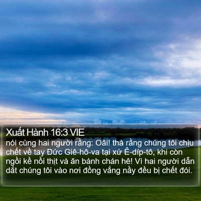 Xuất Hành 16:3 VIE Bible Verse Image