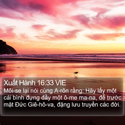 Xuất Hành 16:33 VIE Bible Verse Image