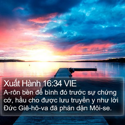 Xuất Hành 16:34 VIE Bible Verse Image