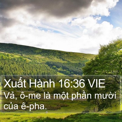 Xuất Hành 16:36 VIE Bible Verse Image