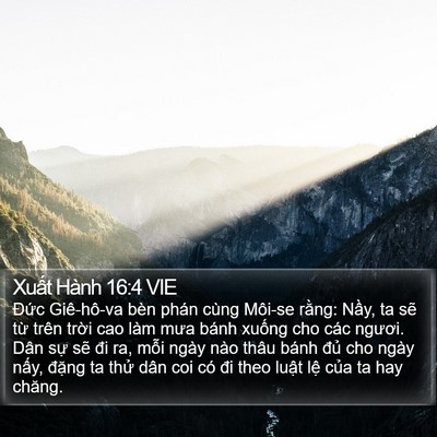 Xuất Hành 16:4 VIE Bible Verse Image