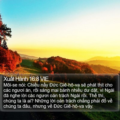 Xuất Hành 16:8 VIE Bible Verse Image