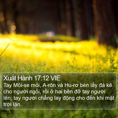Xuất Hành 17:12 VIE Bible Verse Image