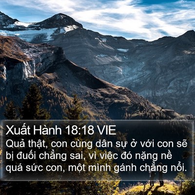 Xuất Hành 18:18 VIE Bible Verse Image