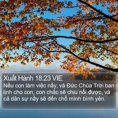 Xuất Hành 18:23 VIE Bible Verse Image