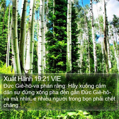 Xuất Hành 19:21 VIE Bible Verse Image