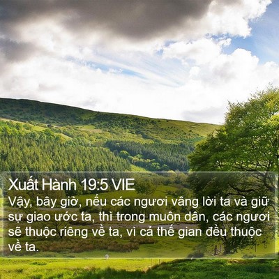 Xuất Hành 19:5 VIE Bible Verse Image