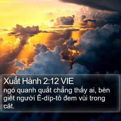 Xuất Hành 2:12 VIE Bible Verse Image