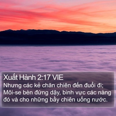 Xuất Hành 2:17 VIE Bible Verse Image