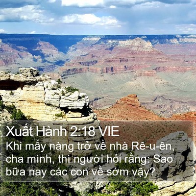 Xuất Hành 2:18 VIE Bible Verse Image