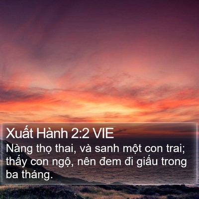 Xuất Hành 2:2 VIE Bible Verse Image
