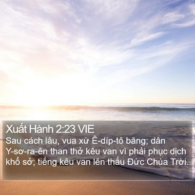 Xuất Hành 2:23 VIE Bible Verse Image