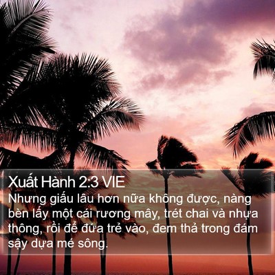 Xuất Hành 2:3 VIE Bible Verse Image