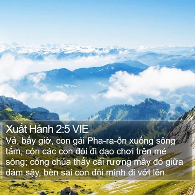 Xuất Hành 2:5 VIE Bible Verse Image
