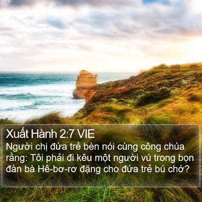 Xuất Hành 2:7 VIE Bible Verse Image