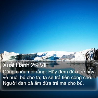 Xuất Hành 2:9 VIE Bible Verse Image