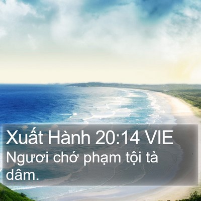 Xuất Hành 20:14 VIE Bible Verse Image