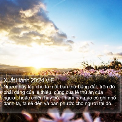 Xuất Hành 20:24 VIE Bible Verse Image