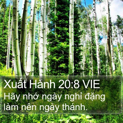 Xuất Hành 20:8 VIE Bible Verse Image