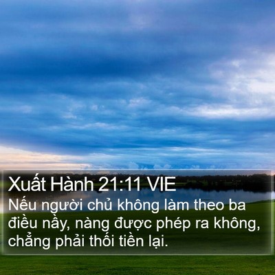 Xuất Hành 21:11 VIE Bible Verse Image