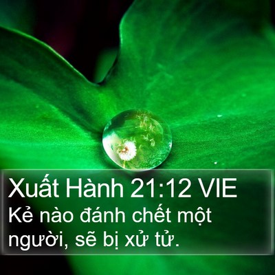 Xuất Hành 21:12 VIE Bible Verse Image