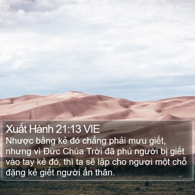 Xuất Hành 21:13 VIE Bible Verse Image