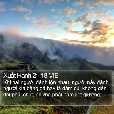 Xuất Hành 21:18 VIE Bible Verse Image