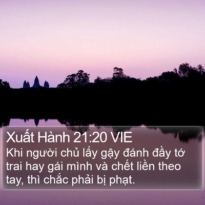 Xuất Hành 21:20 VIE Bible Verse Image