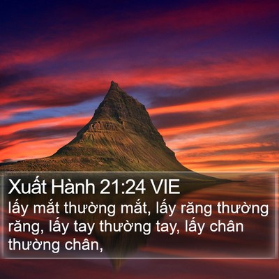 Xuất Hành 21:24 VIE Bible Verse Image