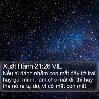 Xuất Hành 21:26 VIE Bible Verse Image