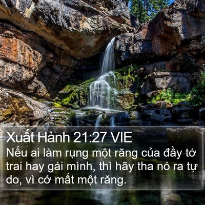 Xuất Hành 21:27 VIE Bible Verse Image