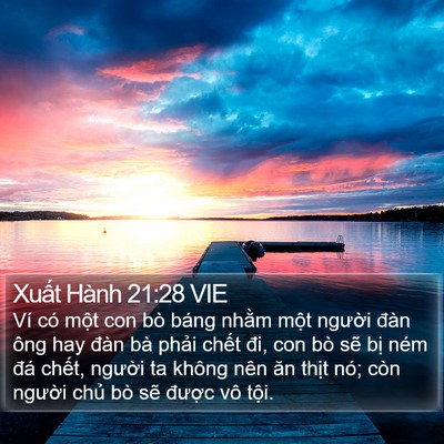 Xuất Hành 21:28 VIE Bible Verse Image