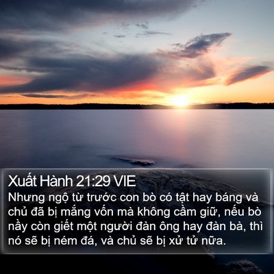 Xuất Hành 21:29 VIE Bible Verse Image