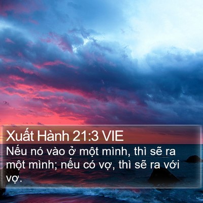 Xuất Hành 21:3 VIE Bible Verse Image