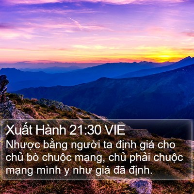 Xuất Hành 21:30 VIE Bible Verse Image