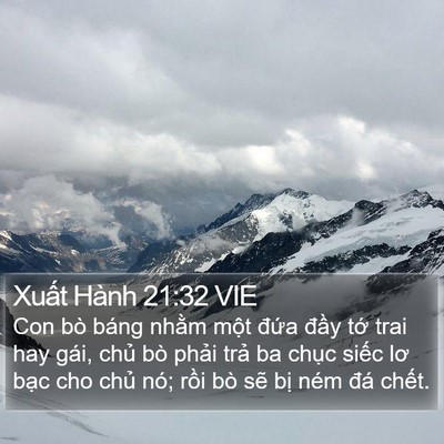 Xuất Hành 21:32 VIE Bible Verse Image